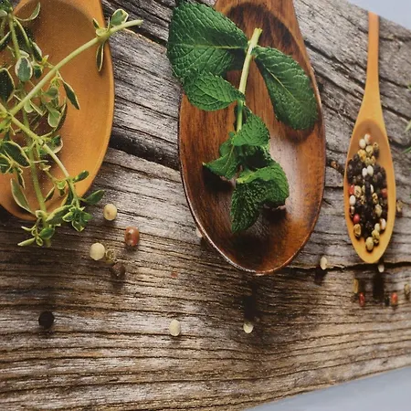 Berolina 306 Appartement Dahme (Schleswig-Holstein)